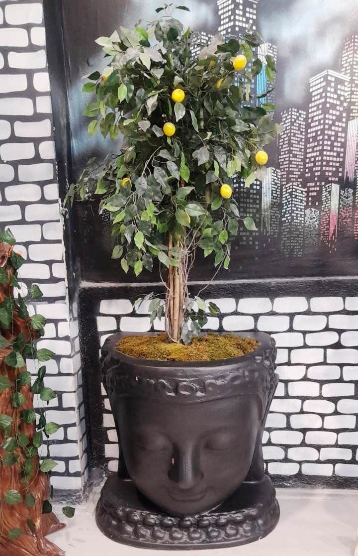 Sooboho Buda / Buddha Bitki Ekilebilir Saksı 85 cm