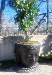 Sooboho Buda / Buddha Bitki Ekilebilir Saksı 85 cm