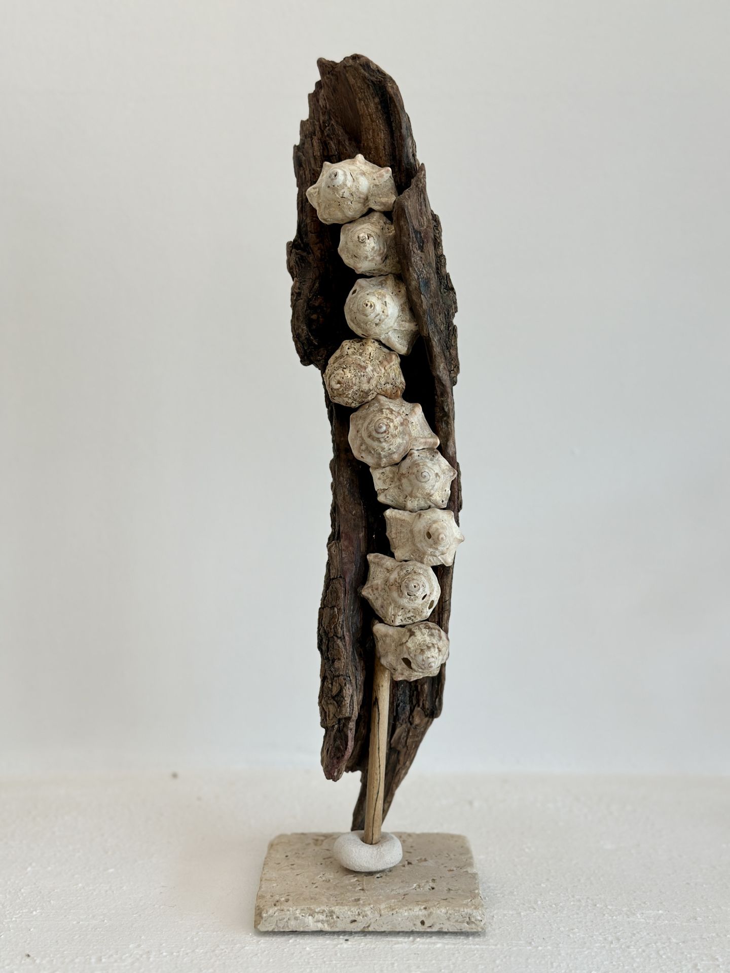 Sooboho Ahşap Deniz Kabuğu Driftwood Biblo