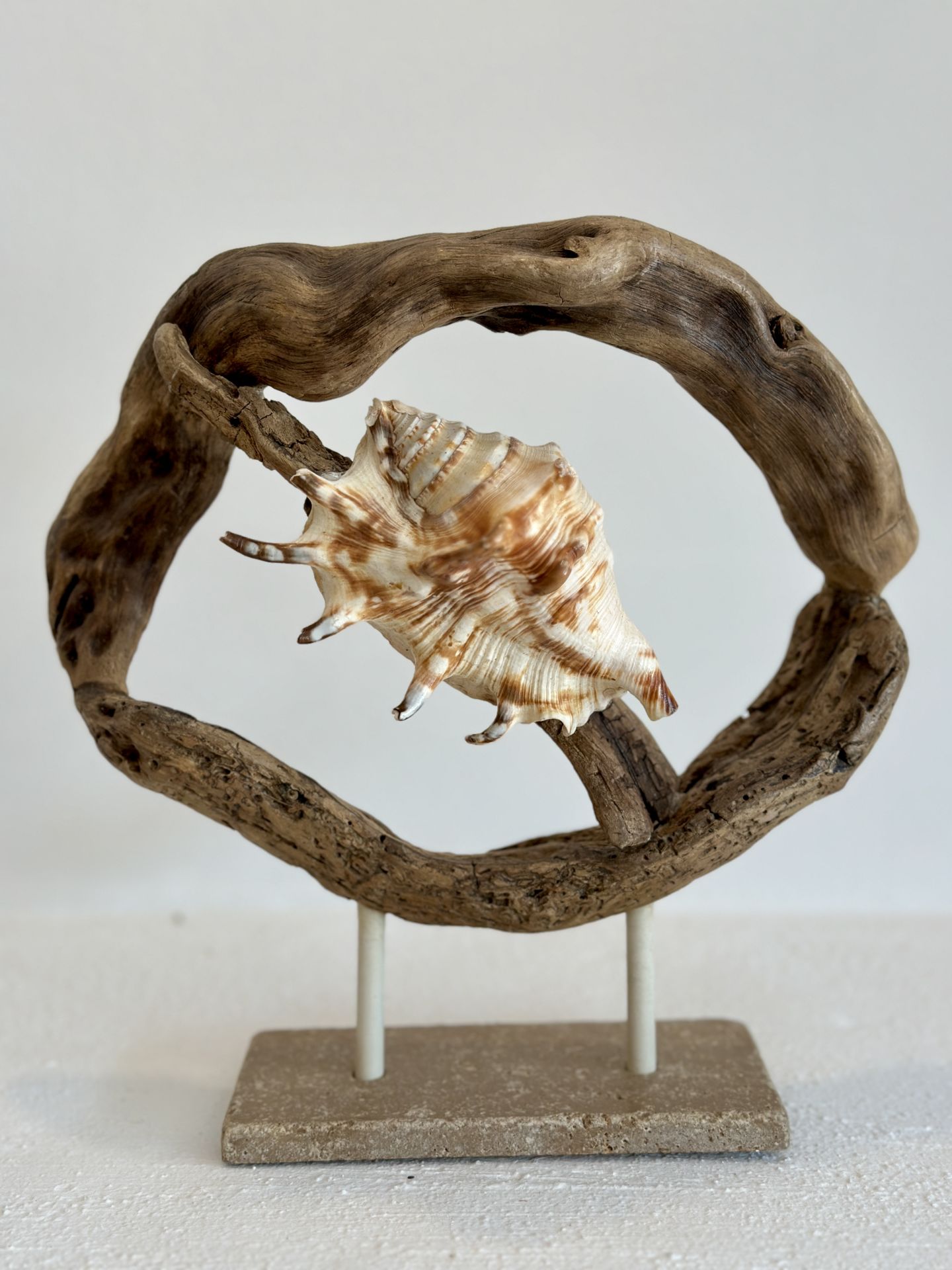 Sooboho Ahşap Deniz Kabuğu Driftwood Biblo