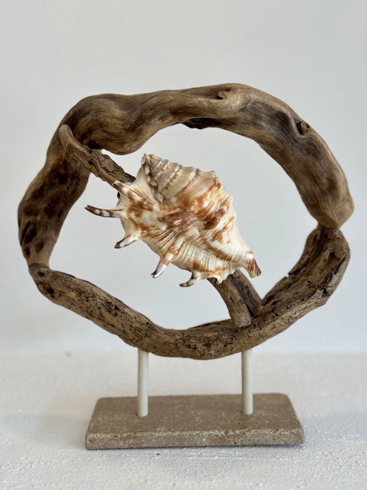 Sooboho Ahşap Deniz Kabuğu Driftwood Biblo