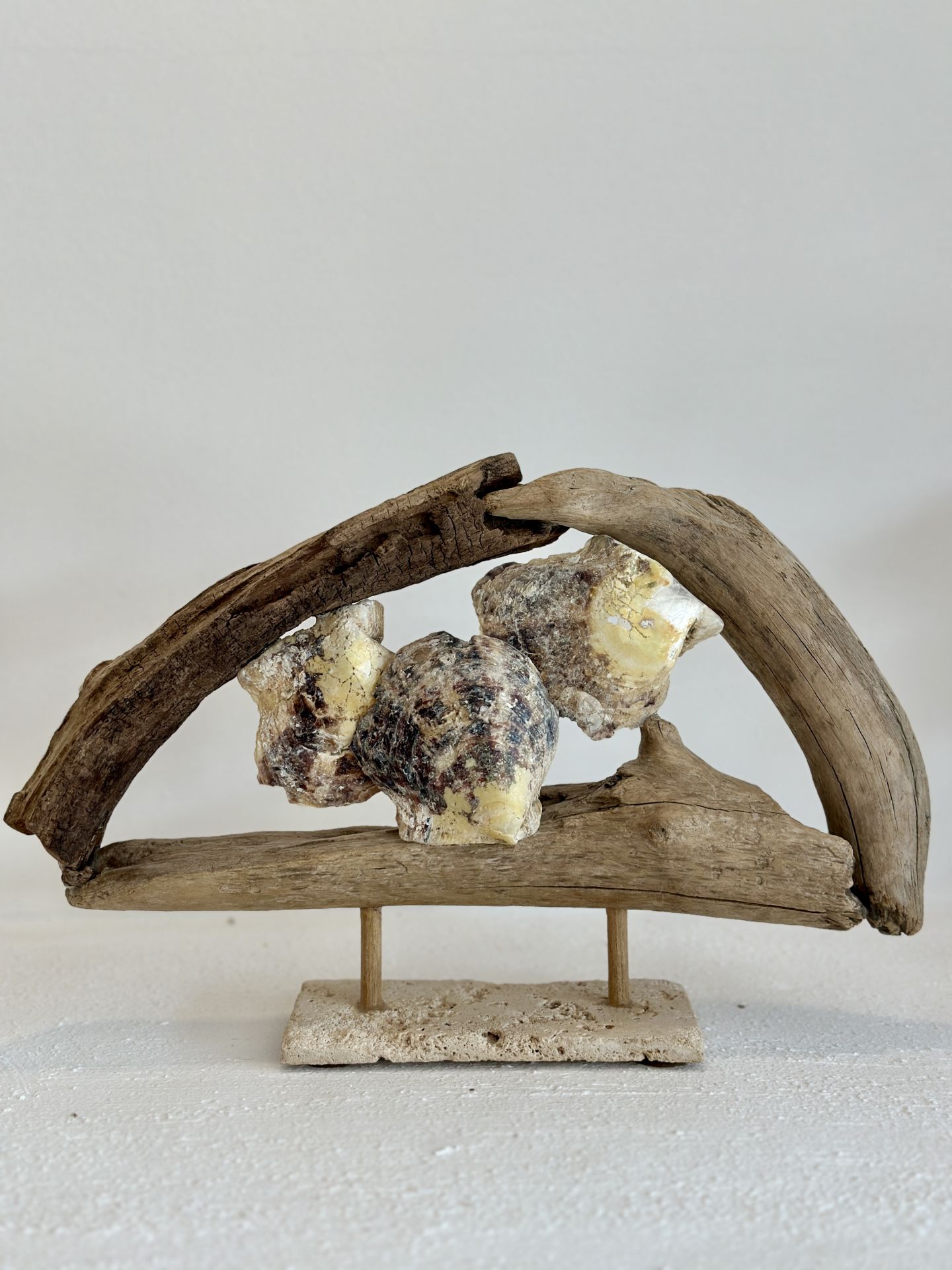 Sooboho Ahşap Deniz Kabuğu Driftwood Biblo