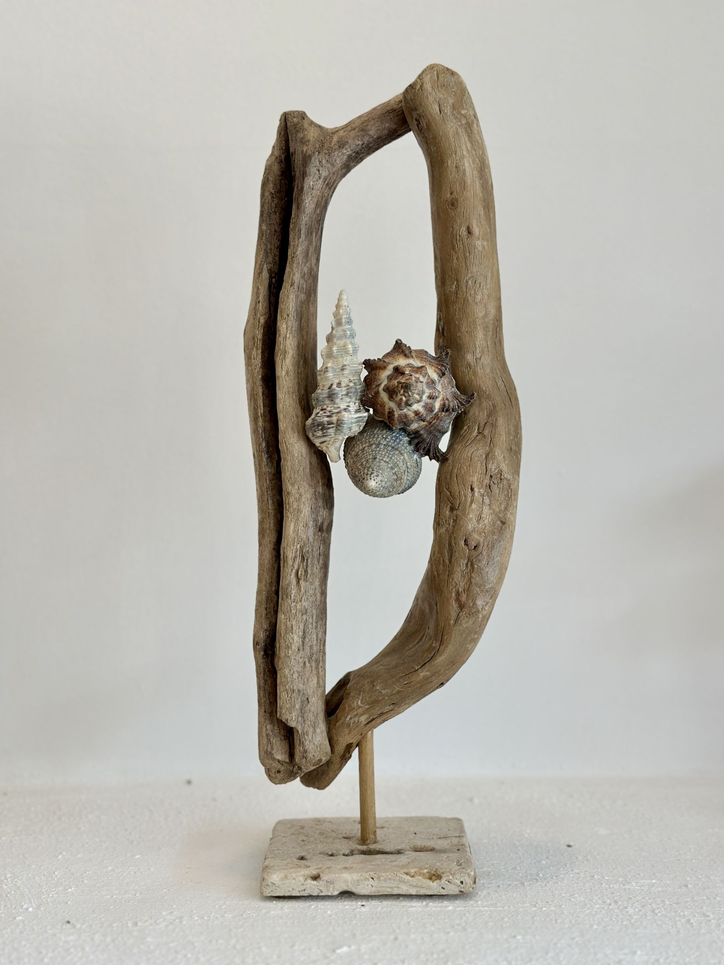 Sooboho Ahşap Deniz Kabuğu Driftwood Biblo