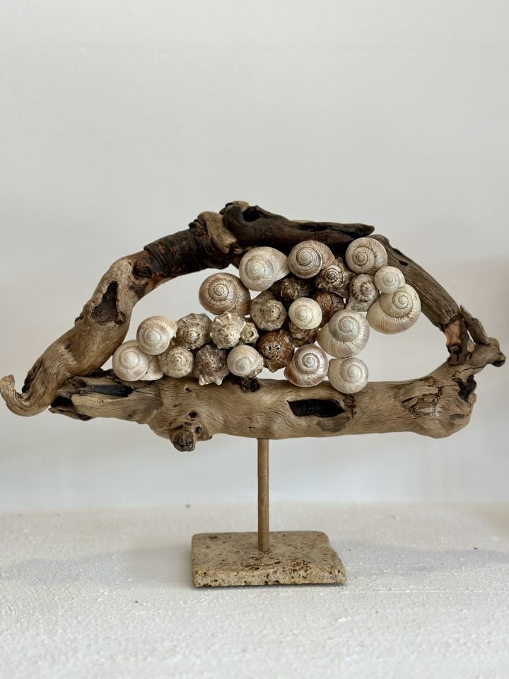 Sooboho Ahşap Deniz Kabuğu Biblo Driftwood