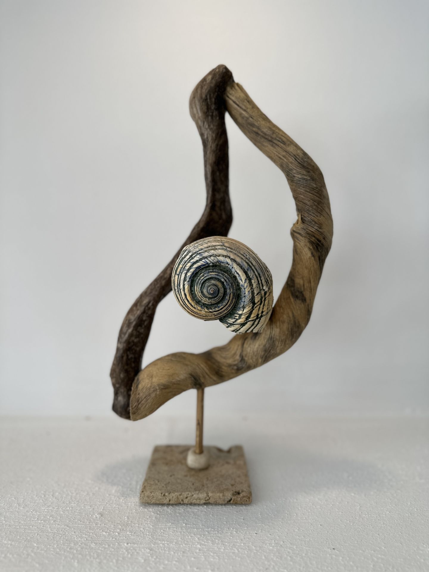 Sooboho Ahşap Deniz Kabuğu Biblo Driftwood