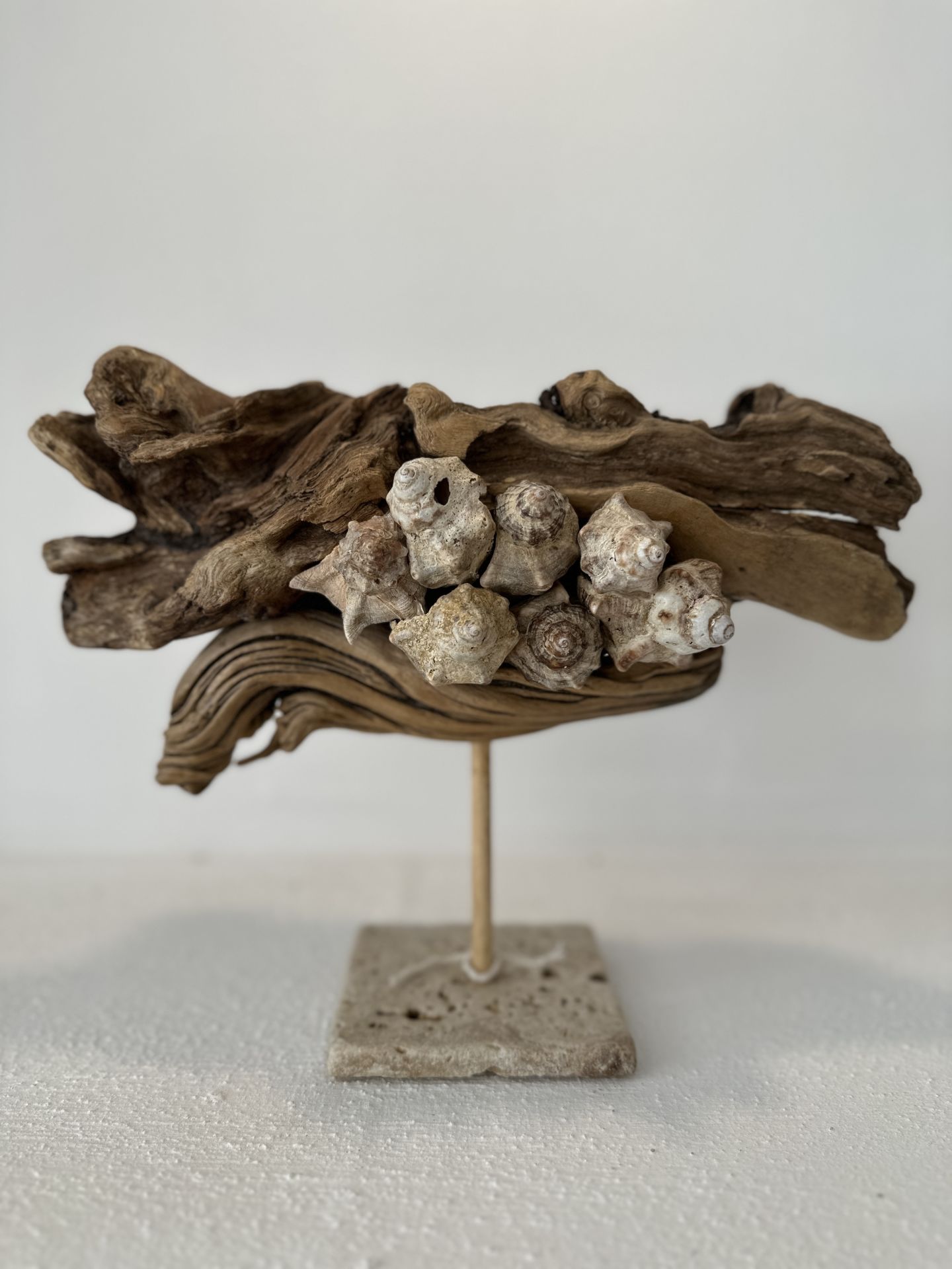 Sooboho Ahşap Deniz Kabuğu Biblo Driftwood
