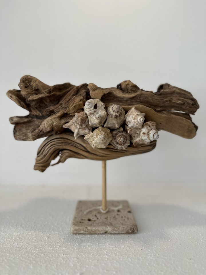 Sooboho Ahşap Deniz Kabuğu Biblo Driftwood