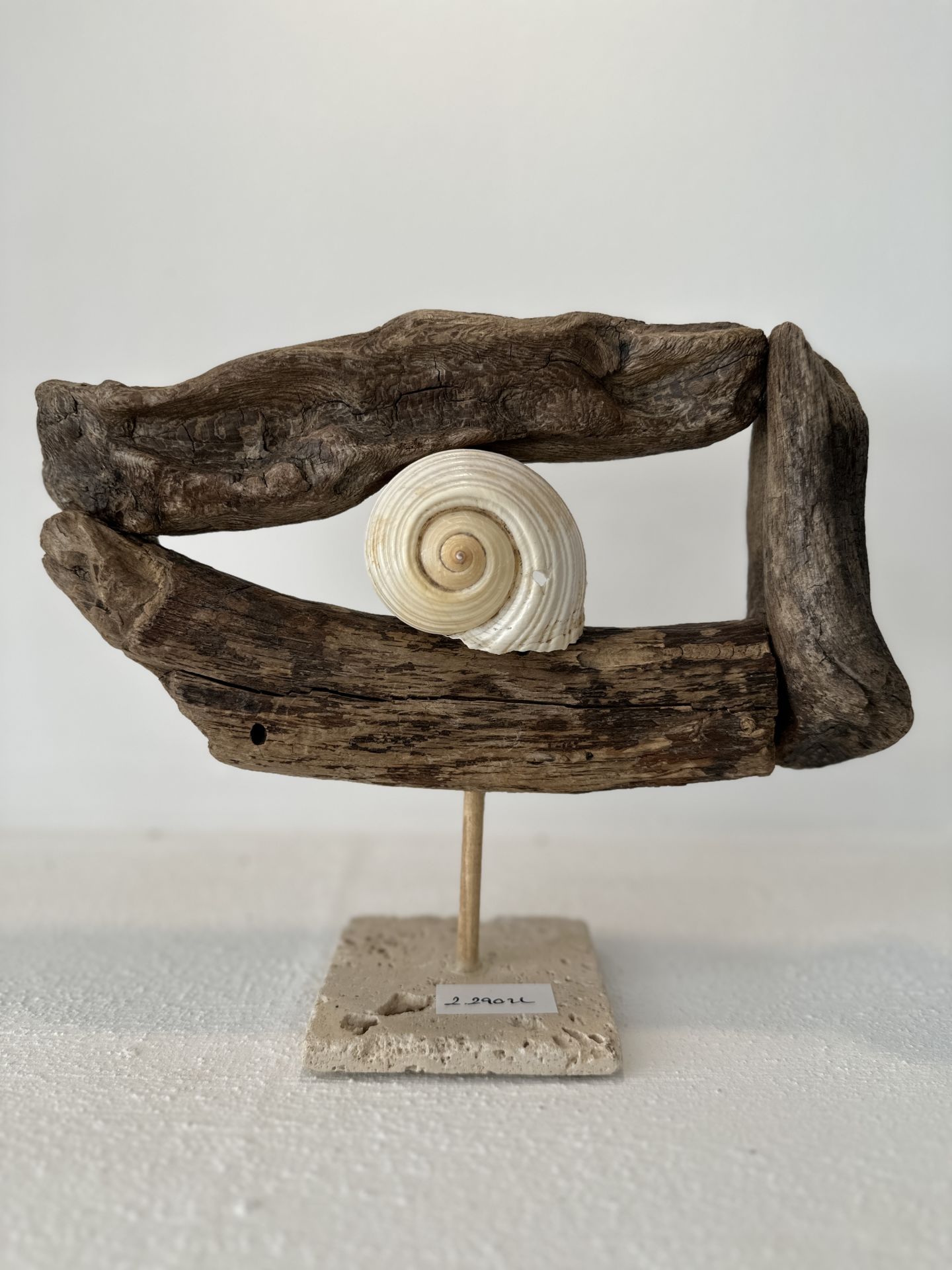 Sooboho Ahşap Deniz Kabuğu Biblo Driftwood