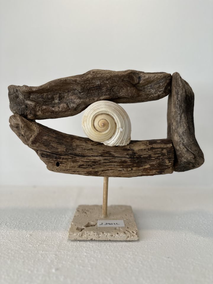 Sooboho Ahşap Deniz Kabuğu Biblo Driftwood