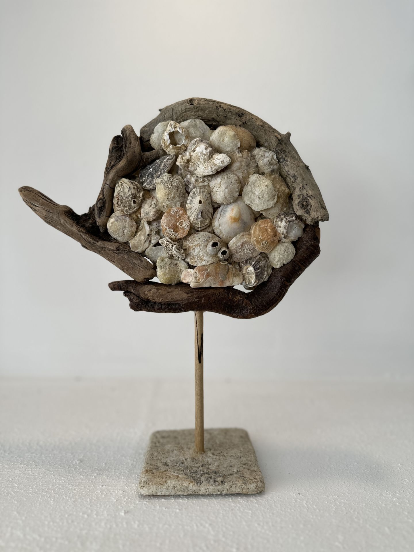 Sooboho Ahşap Deniz Kabuğu Biblo Driftwood