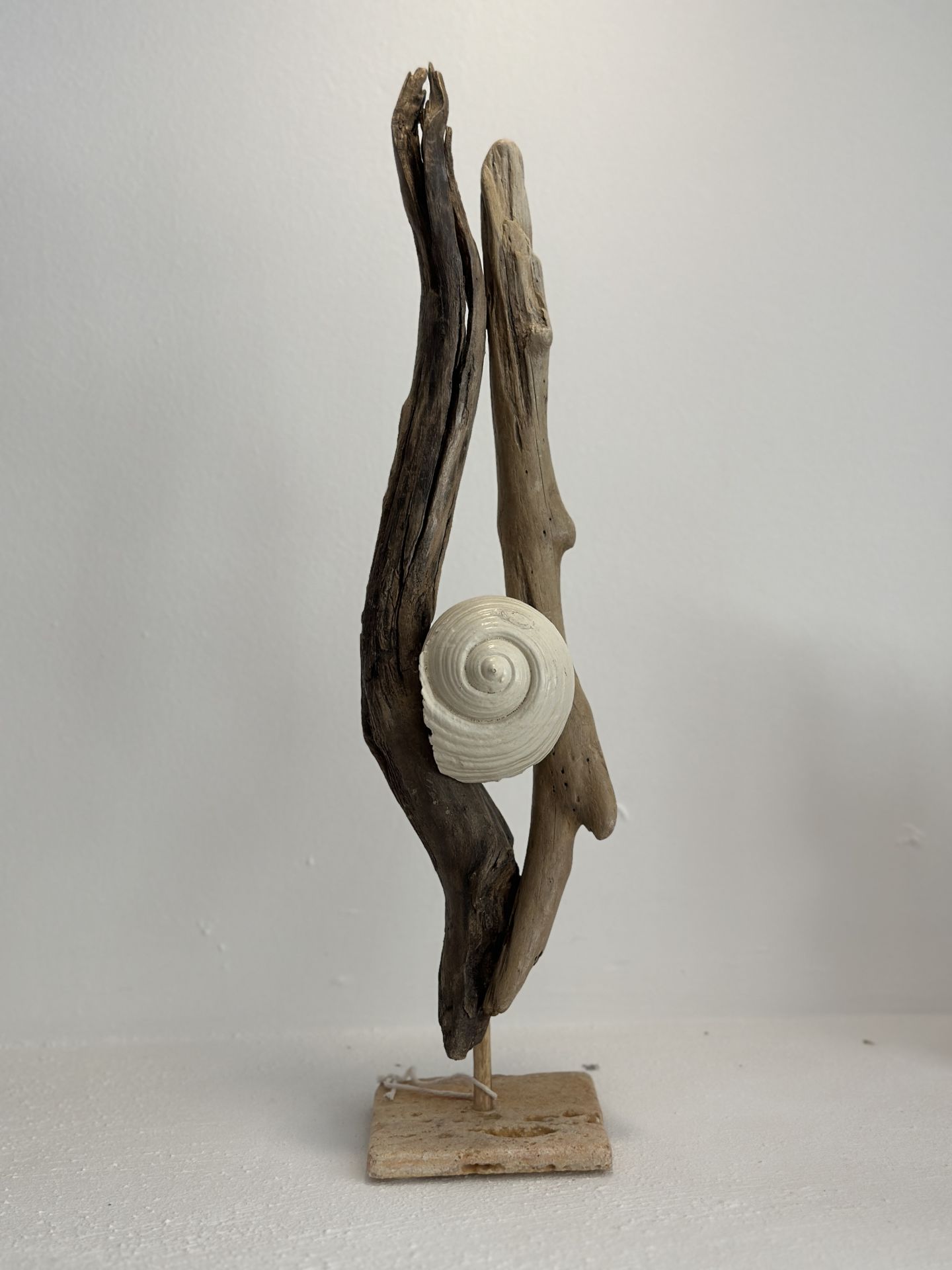 Sooboho Ahşap Deniz Kabuğu Obje Driftwood